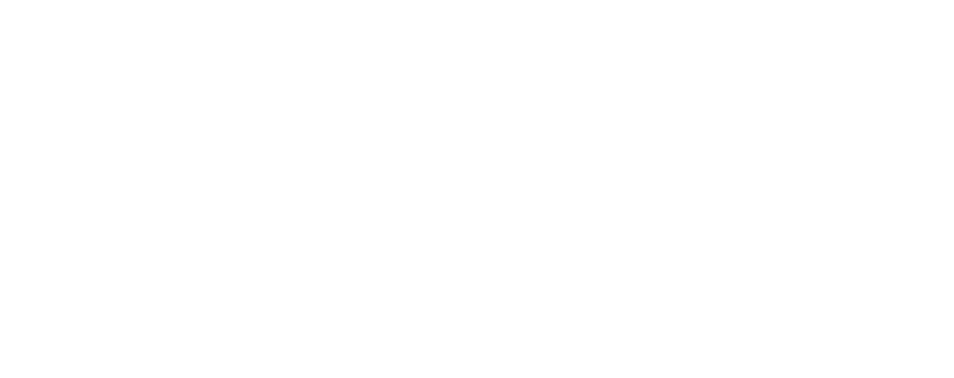 Logo Space Wings