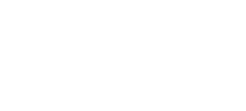 Logo Viken